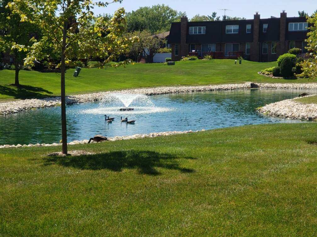 Pond Fountain & 5 geese