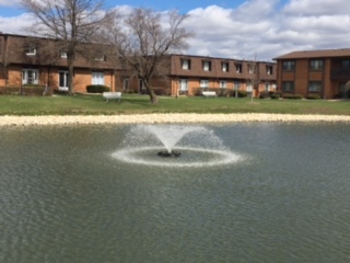 Pond Fountain & Townhouse view