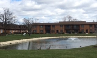 Pond & Fountain with 2 geese Townhouse & 1420 view